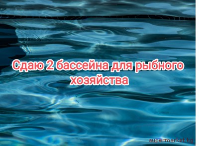 ���� 2 �������� ��� ������� ���������