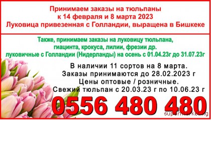 ��������� ������ �� �������� � 14 ������� � 8 ����� 