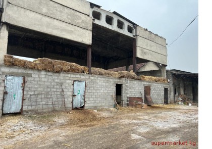 ��������� ������� 54 �����. ����� �������� �.������.