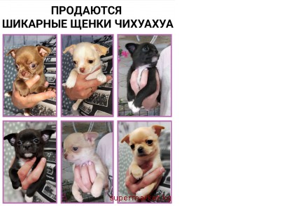 ��������� �������� ����� ��������