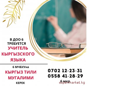 � ��� 6 ��������� ������� ����������� ����� (6 ���)