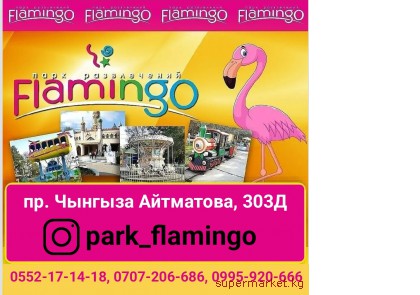 ���� ��������! ������ ����, ������ �����������!