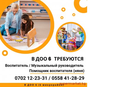 � ��� 6 ���������: 1. �����������; 2. �������� �����������; 3. ���������-����. 