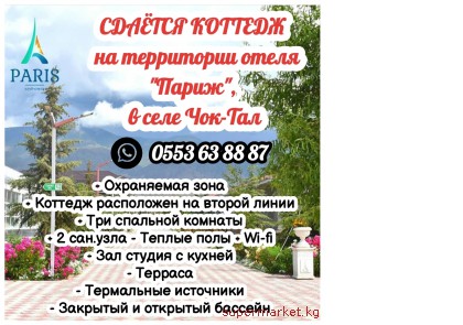 ������ ������� ��������� �� ���������� ����� "�����", � ���� ���-���.