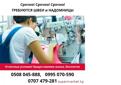 ������ ������ ������. ��������� ���� � ��������� 