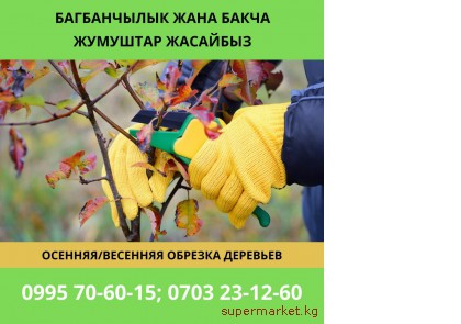 ����������� ���� ����� ��������� �������� 