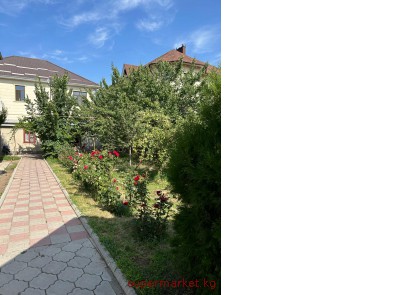 ���� ������� � ������ ���������/������