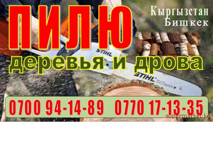 ���� ������� � �����. ������ ��������