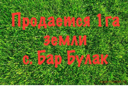 ���������  1 �� ����� ��  ��������� �. ��� �����