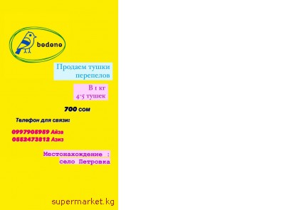 ������� ����� ���������!  �����! �����! �����! 700 ��� 1 ��. ������