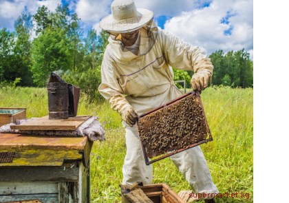 ��������� ������� �������� �. �����