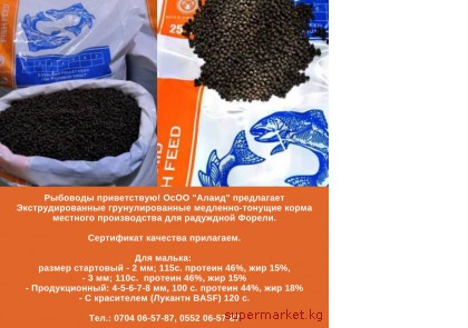 ���������������� ��������������� ����� ��� ���  