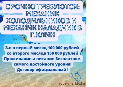 ������ ���������: ������� ������������� � ������� �������� � �.����.