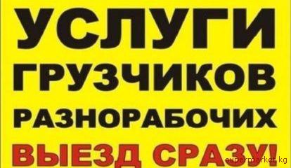 ������ ��������� � ������������ � ������� 0503 24 93 93