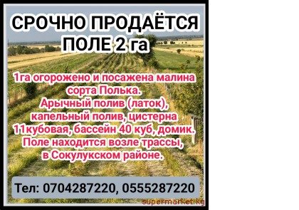 ������ ��������� ���� 2��. ����������� �����