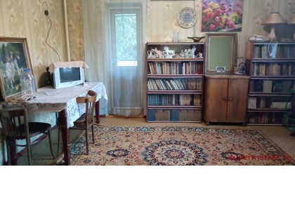 ���� ����� ���������������� ����, �����: ����� ����/���������� 