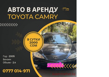 ���� ���� � ������! Toyota Camry, 2005 ����  