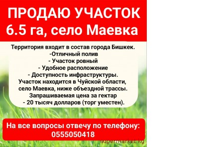 ������ ����������� ��������� �������, 6.5 ��, ���� ������.