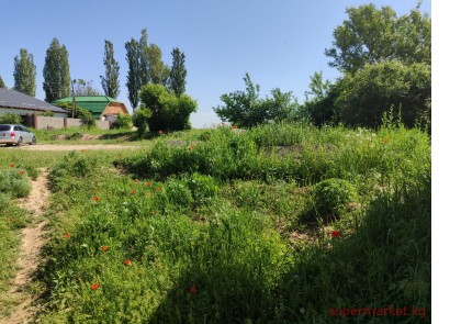 ������ ������� 5,5 �����, ���� ��������� (����� ���-���)  