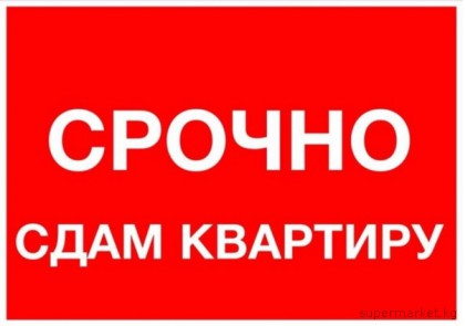 ���� 2-� ��������� �������� 5 ���.