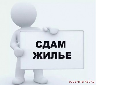 ���� ���! �����: �����-����/����������  