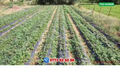 � ������� ������� ��������� ��������� ������� 1 �� 10 ����� (������� �����, ���, �����)  