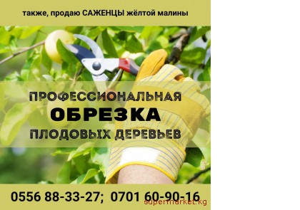 ���������������� ������� �������� �������� 