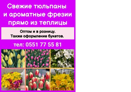 ������ �������� � ��������� ������ ����� �� �������. ����� � � �������.