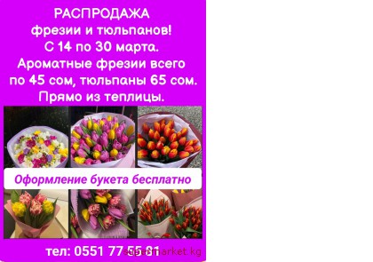 ���������� ������ � ���������! ����� �� �������