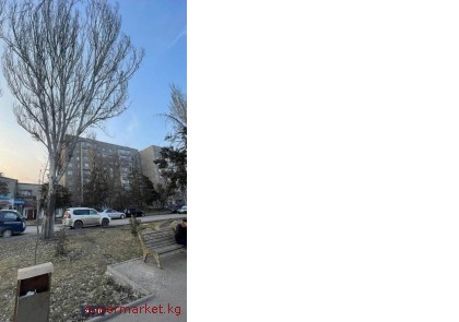 ������! ������ 1 ���. ��������, ���. ������-5  