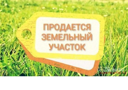 ������ ������� 11.5 ����� � �. ���-���  