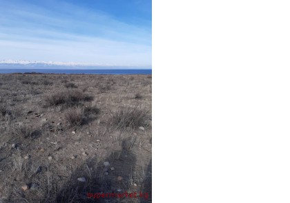 ������ ������� �� �����-����! ����� �����, �. ���-����� 