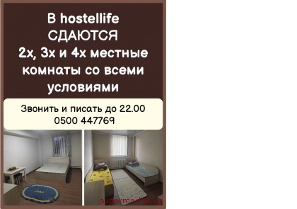 � hostellife ������� 2�, 3� � 4� ������� ������� �� ����� ���������.