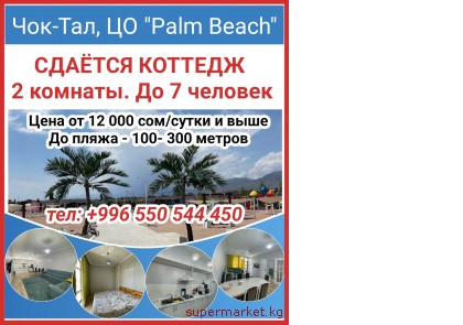 ���-���, ����� ������ Palm Beach ������ ������� 2 �������