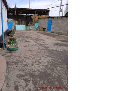 ������ 2 ���� +������� 33 ���., �.������, ������ 