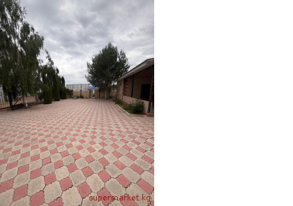 ����� �� ����� ����. ��������� ��������� �.�������