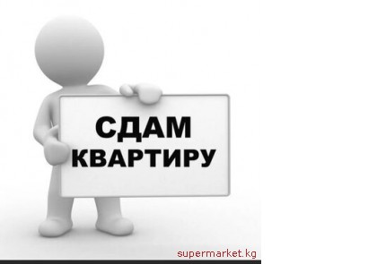 ���� 2-��� ��������, ������ ����  