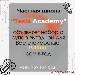 ������� ����� "Tesla Academy" ��������� ����� �� ����� �������� ���������