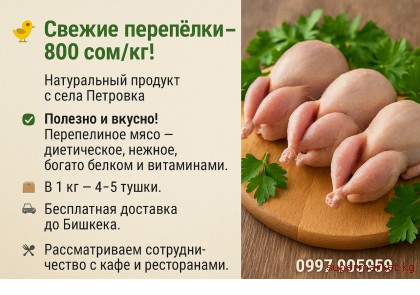 ������ �������� � 800 ���/��! ����������� ������� � ���� ��������  