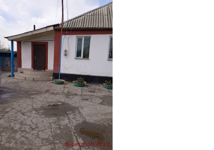 ������ 2 ���� +������� 33 ���., �.������, ������  