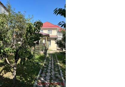 ���� ��� ��� ������ ��� ��� ������