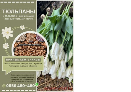 ��������� ������ �� �������� ����� � 8 ����� �� 2026�.  �������� ����������� �������� � �������