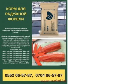 ���� ��� �������� ������ "CITICO"  