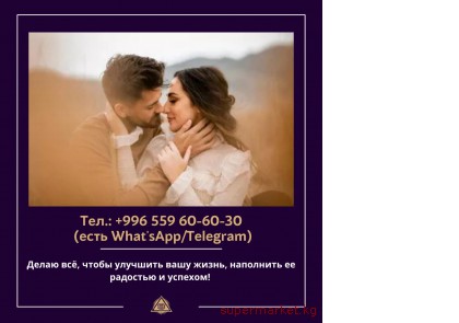 ���������/�������