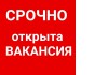 ������ ���������: ������ ����, ������ �����������, ������ ����������, ����������� �� ��������, ���