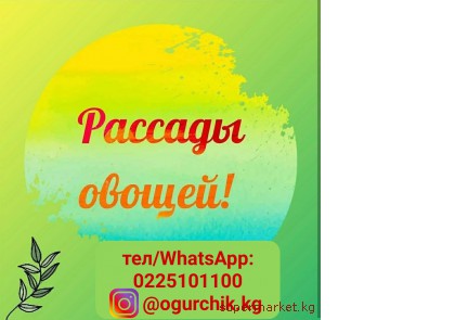 ������� ������: �������, �����, ���������, ������, ������