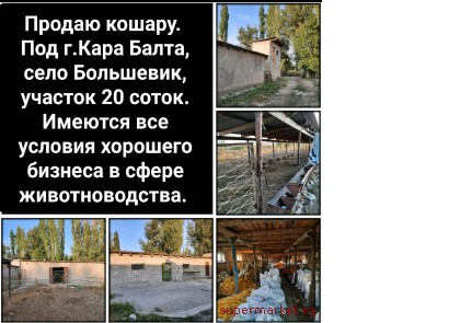 ������ ������. ��� �.���� �����, ���� ���������, ������� 20 �����.