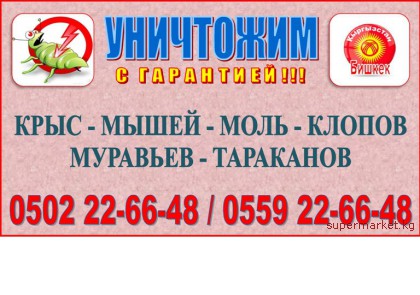 ���������� ����,�����, ������